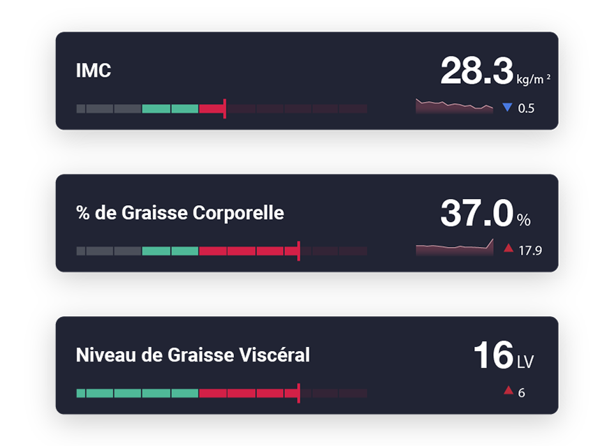 Graphique pour visualiser ses progrès sur l'application InBody - IMC, graisse corporelle et graisse viscérale